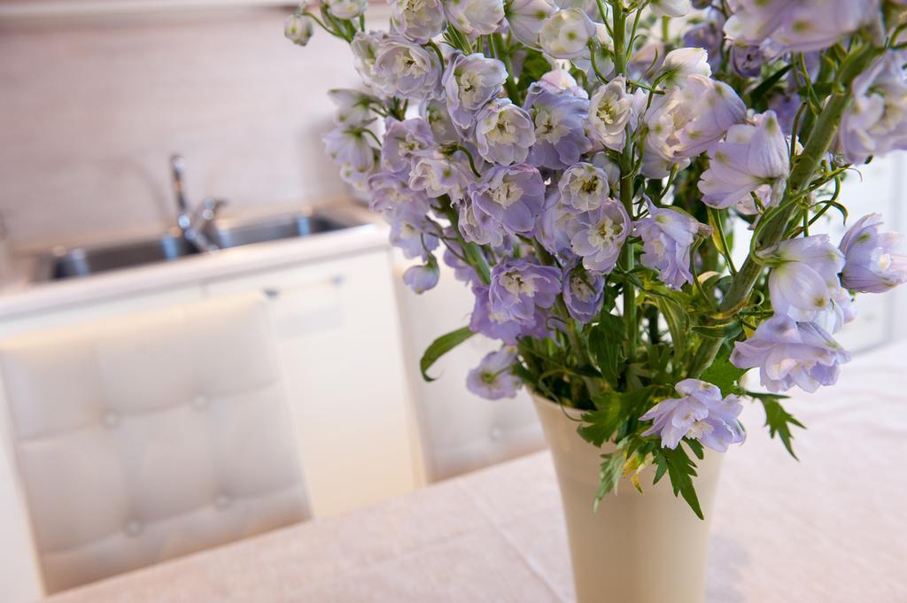Ca' Cappellis Bed & Breakfast Venice Exterior photo